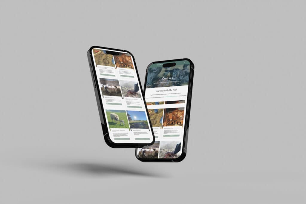 Veterinary website design case study image