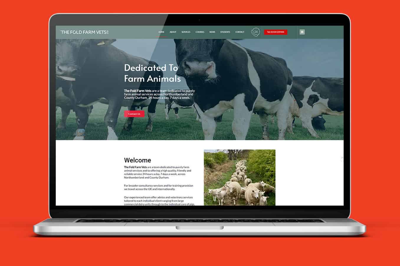 Veterinary Website Design Case Study
