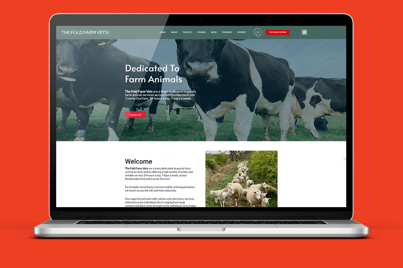 Veterinary Website Design Case Study