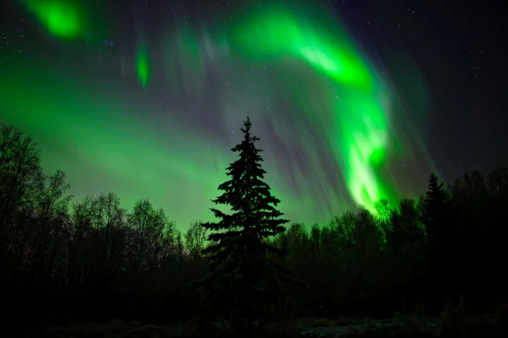 Aurora in Alaska